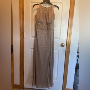 An R&M Richards gown in a sparkly champagne color, size 14.